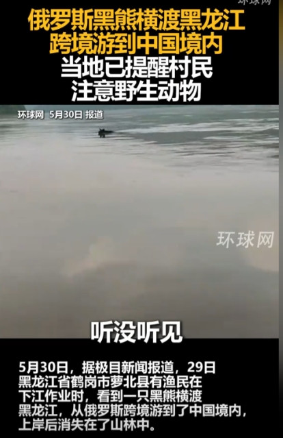 彻底解释不清了！黑龙江，渔民出去打渔，结果，刚上船就被吓一跳，水里竟然有一只黑熊