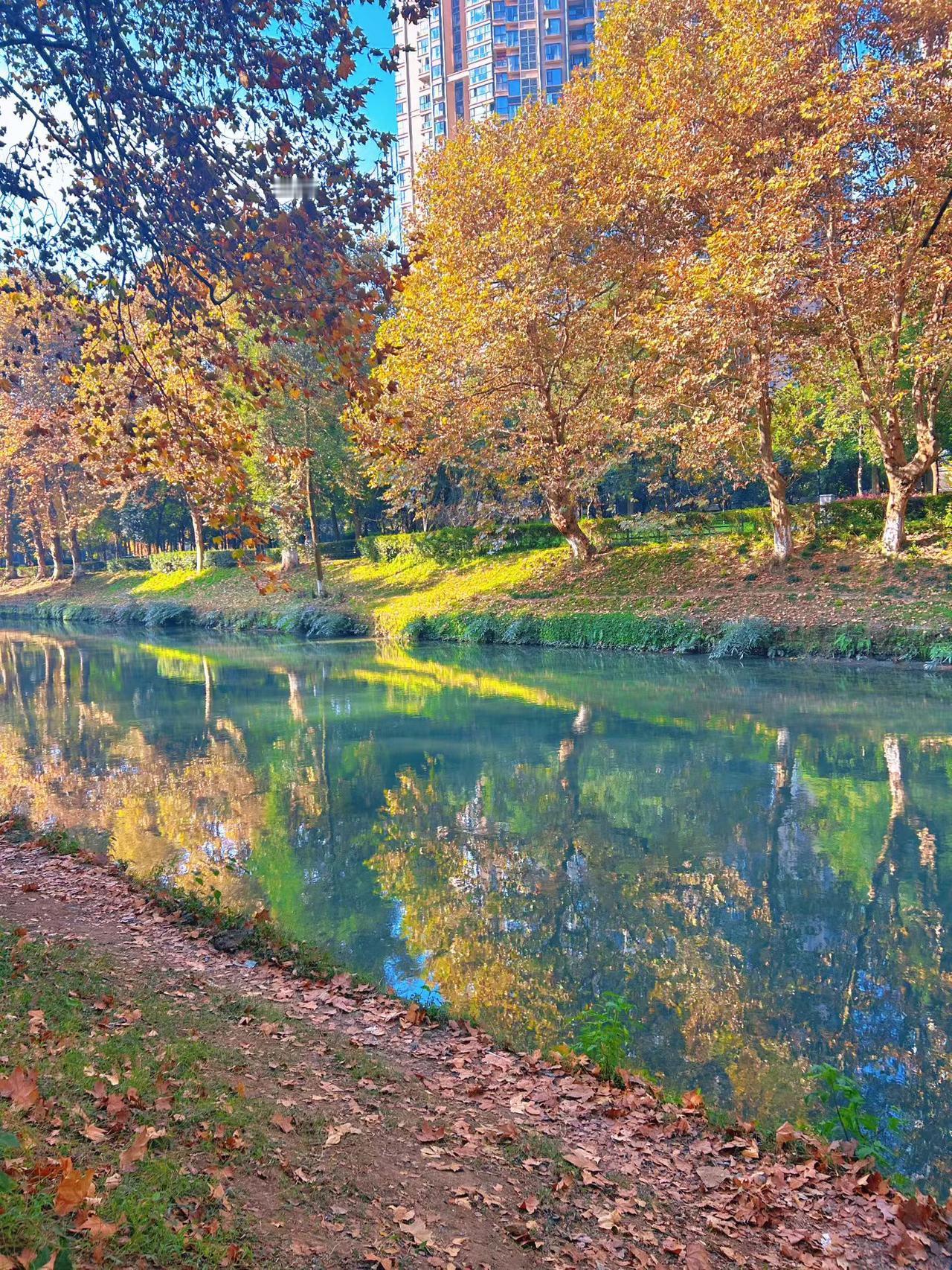 太阳出来暖洋洋，男女老少晒太阳大美成都，昨天老天又赏脸了。久违的晴空万里，艳
