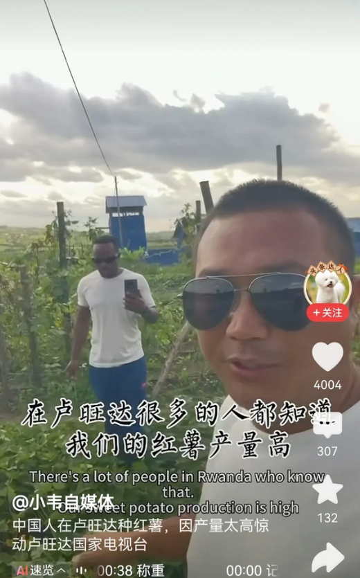 中国人在卢旺达种红薯，因为产量太高惊动当地国家电视台。非洲人该有多懒，种个红薯