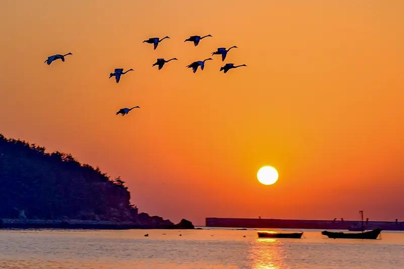 下联：晚看夕阳山尽染，上联怎么对晨赏晨辉海共色；