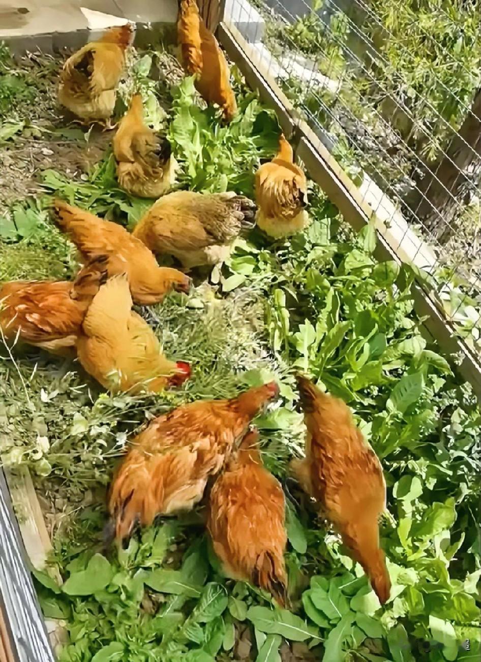 我实在理解不了我爸妈。一个医生退休，一个教师退休，手里存款至少有50万，一套房