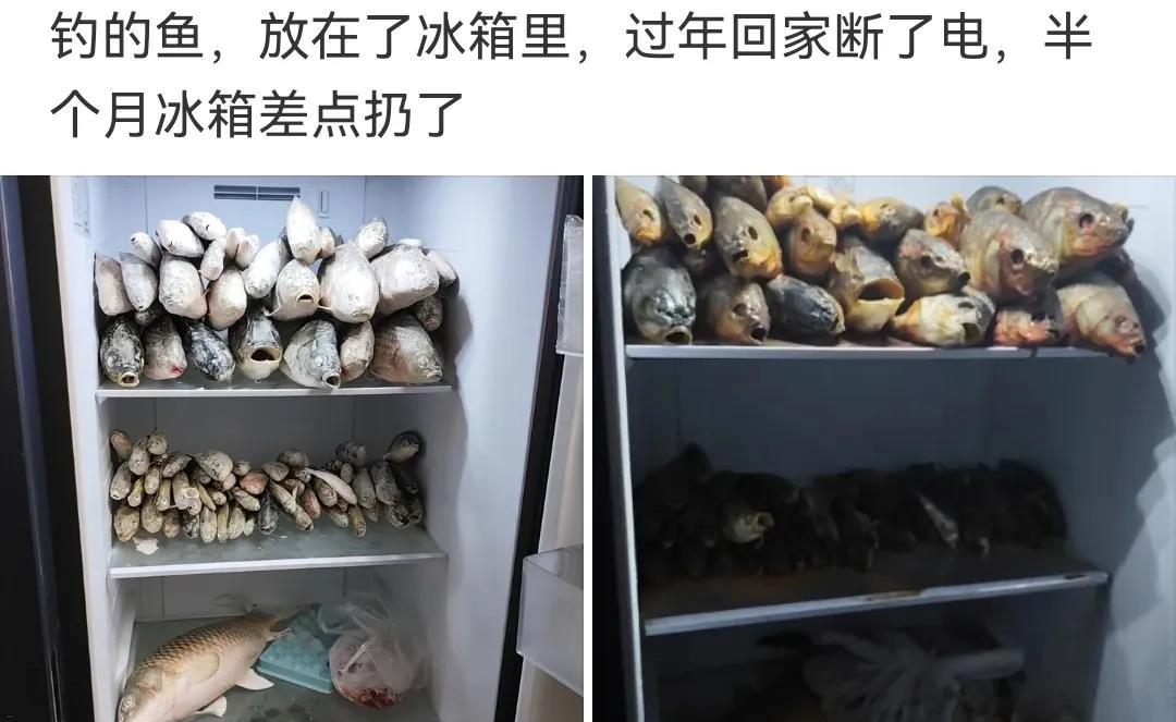 隔着屏幕都闻到臭了