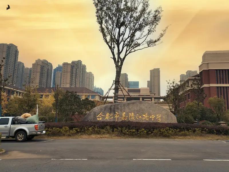 合肥滨湖小学这波招生变化真的太有代表性了，前两年报名点人挤人，连走廊都排满家长，