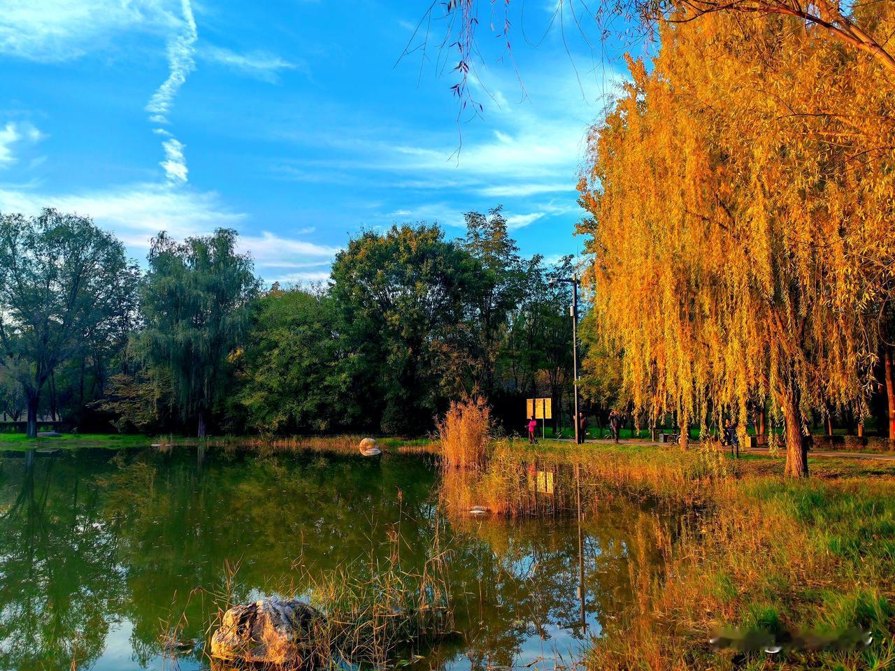 这是秋天最美丽的倒影