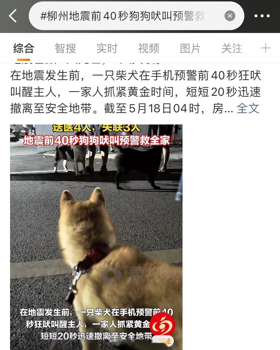 柳州地震前40秒狗狗吠叫预警救全家凌晨零点21分，广西柳州突发5.2级地震。震动
