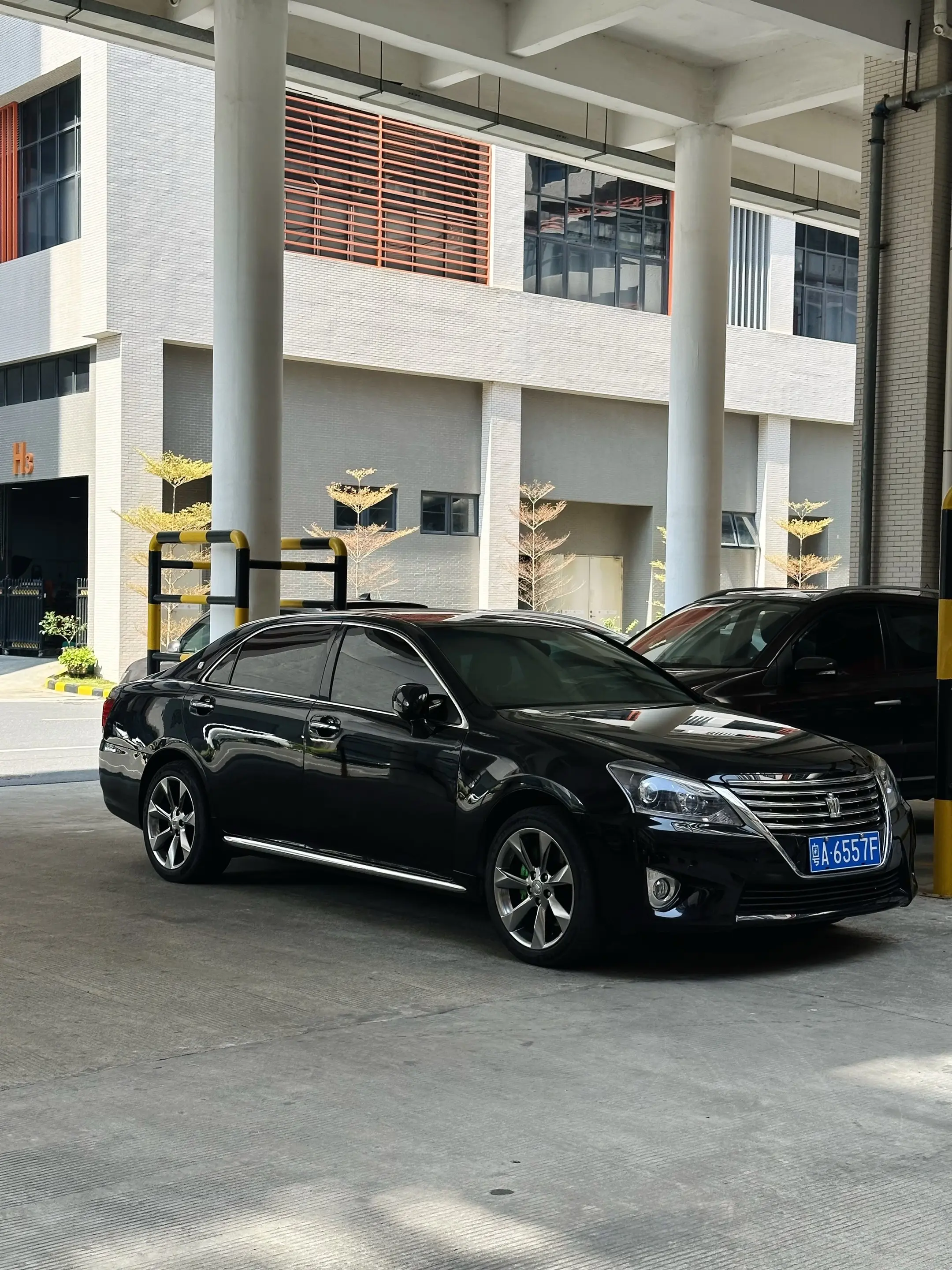 我开皇冠拉过猪脚。却唯独没有拉过你