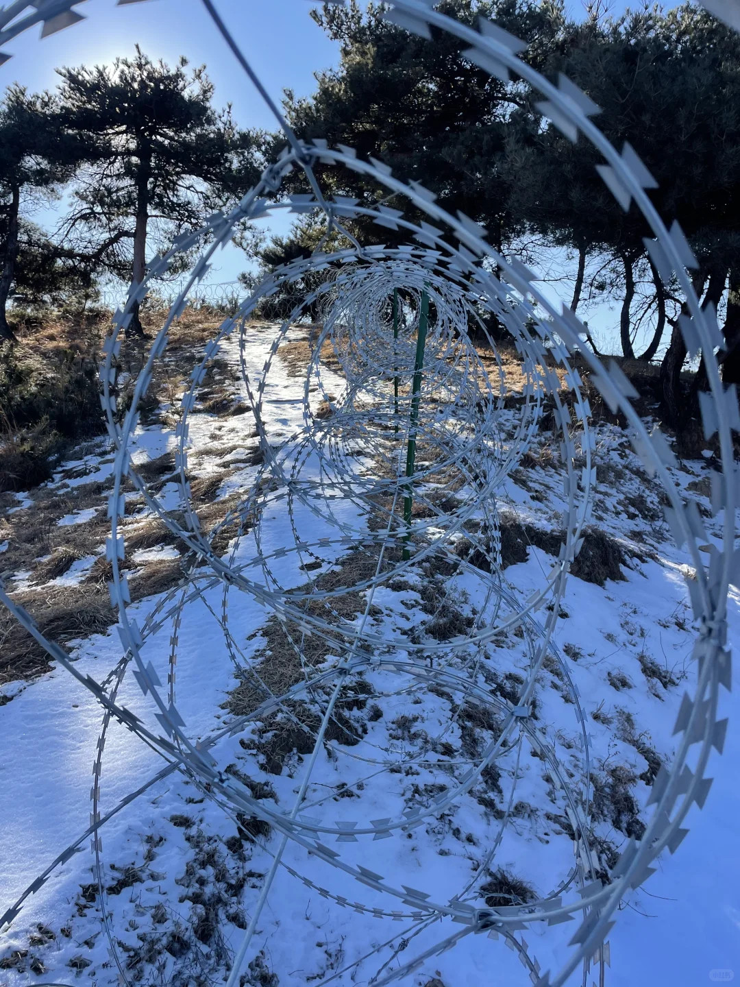泰山135公里刀片刺绳隔离网围山美好的景色要么收费，要么封禁！谁能想到蒿滩也能装