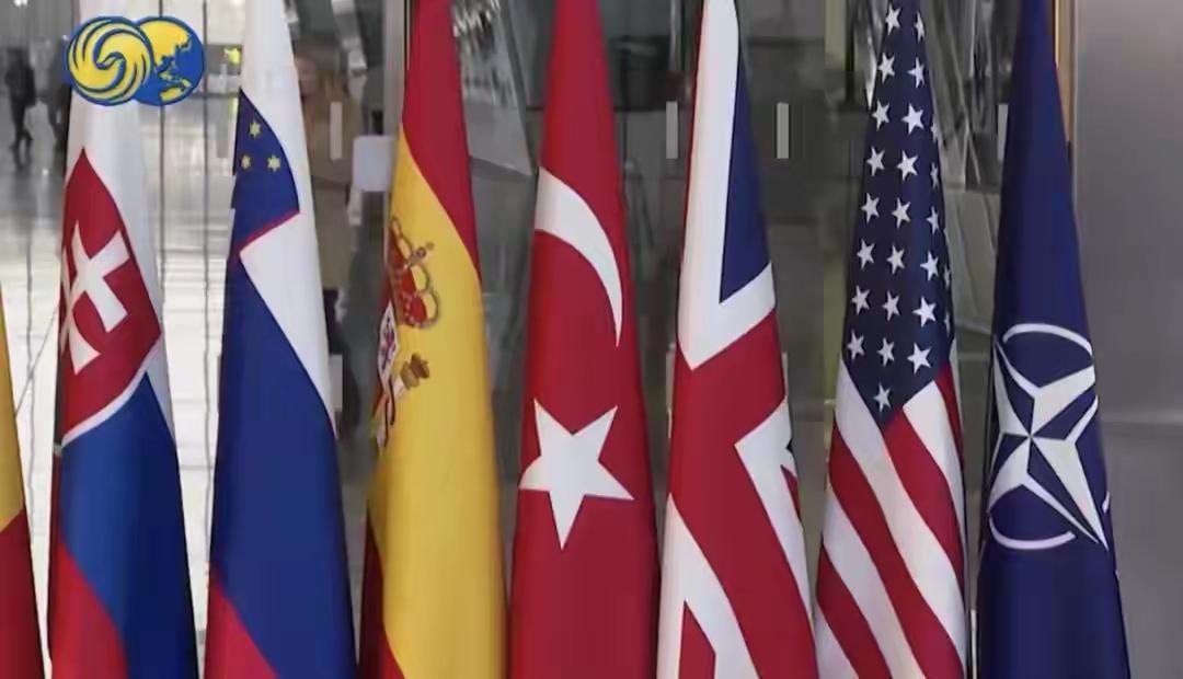 美国众议院议长约翰逊在英国议会发言：​“强大而致命的军队固然重要，繁荣而稳健