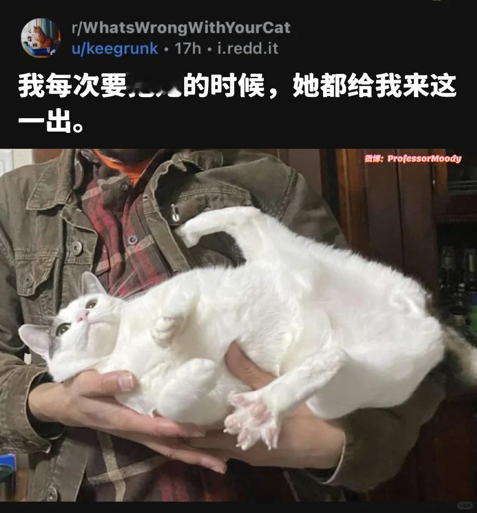 挣脱meme​​​