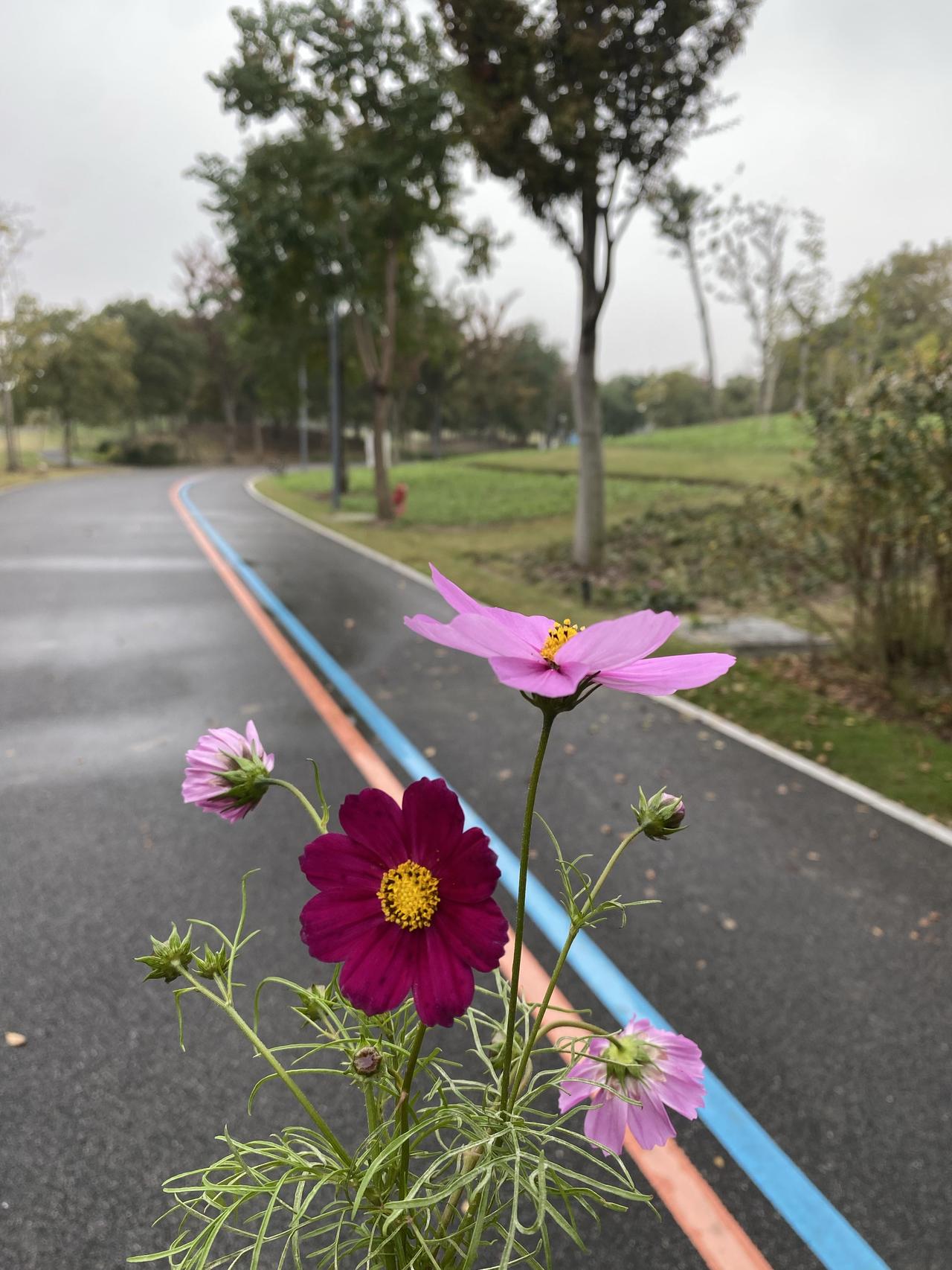 亲身体会，经济不独立的女人真的会说话没有底气！这一年我没有工作，全职在家带孩