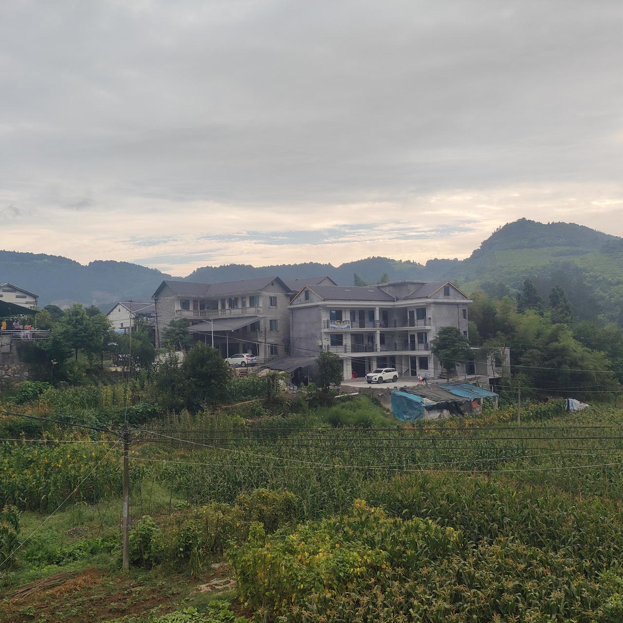 在桐梓九坝住了一周多了，这里多是重庆人的避暑天堂。九坝的环境还是不错，推窗看到的