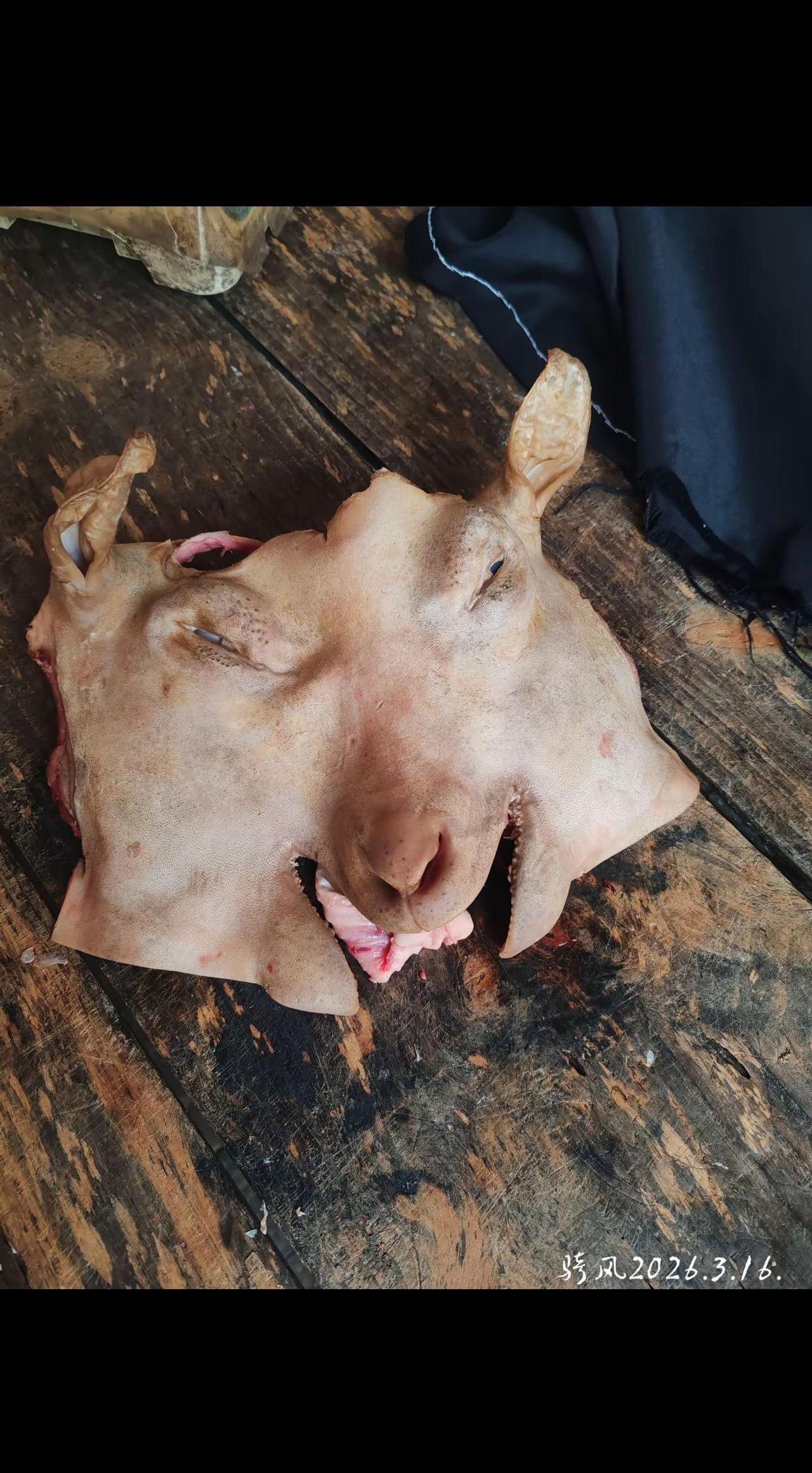 肉台上的羊头羊脚。