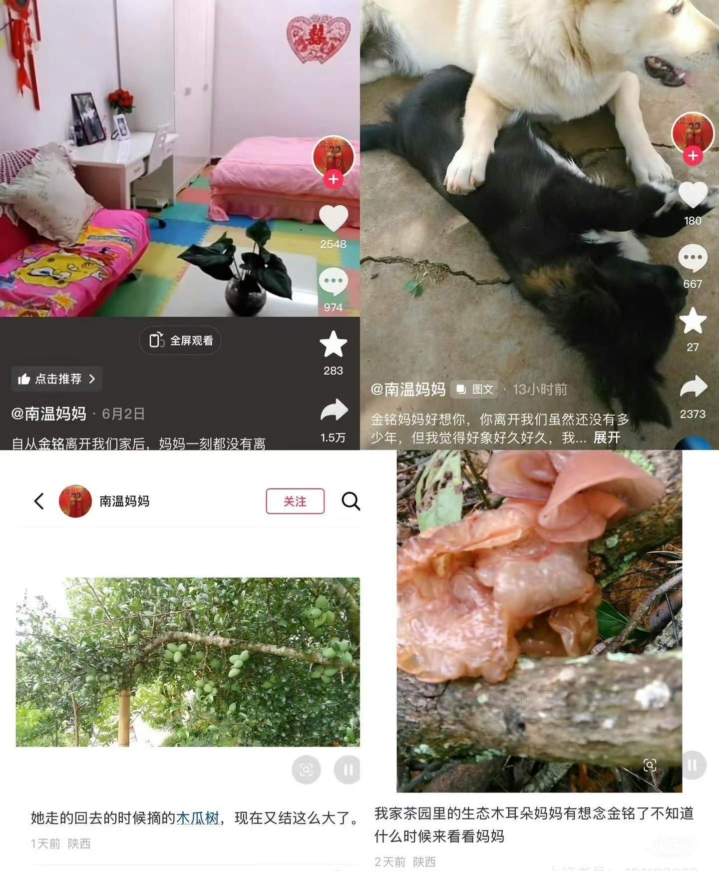 平台通报李金铭假婆婆事件这个南温妈妈家，是李金铭十年前录综艺的地方，最近每一篇作