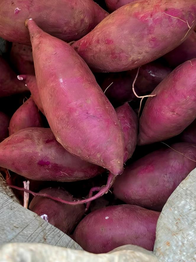 🔥“吃紫薯到底是智商税，还是真的更健康”？最近刷到好多人说紫薯就是“染色红