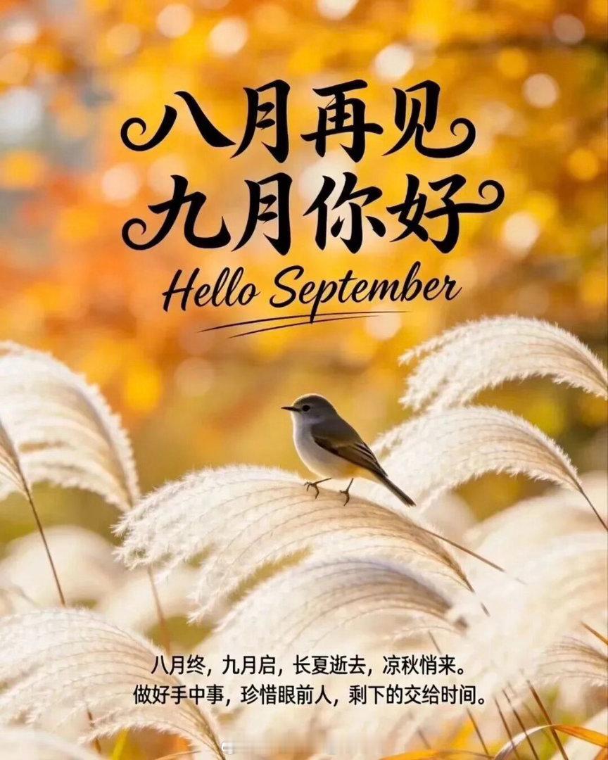 生活手记一个人的生活语录茶人莉语生活手记早安新的一天早安心语治愈蝉声卡进八月的