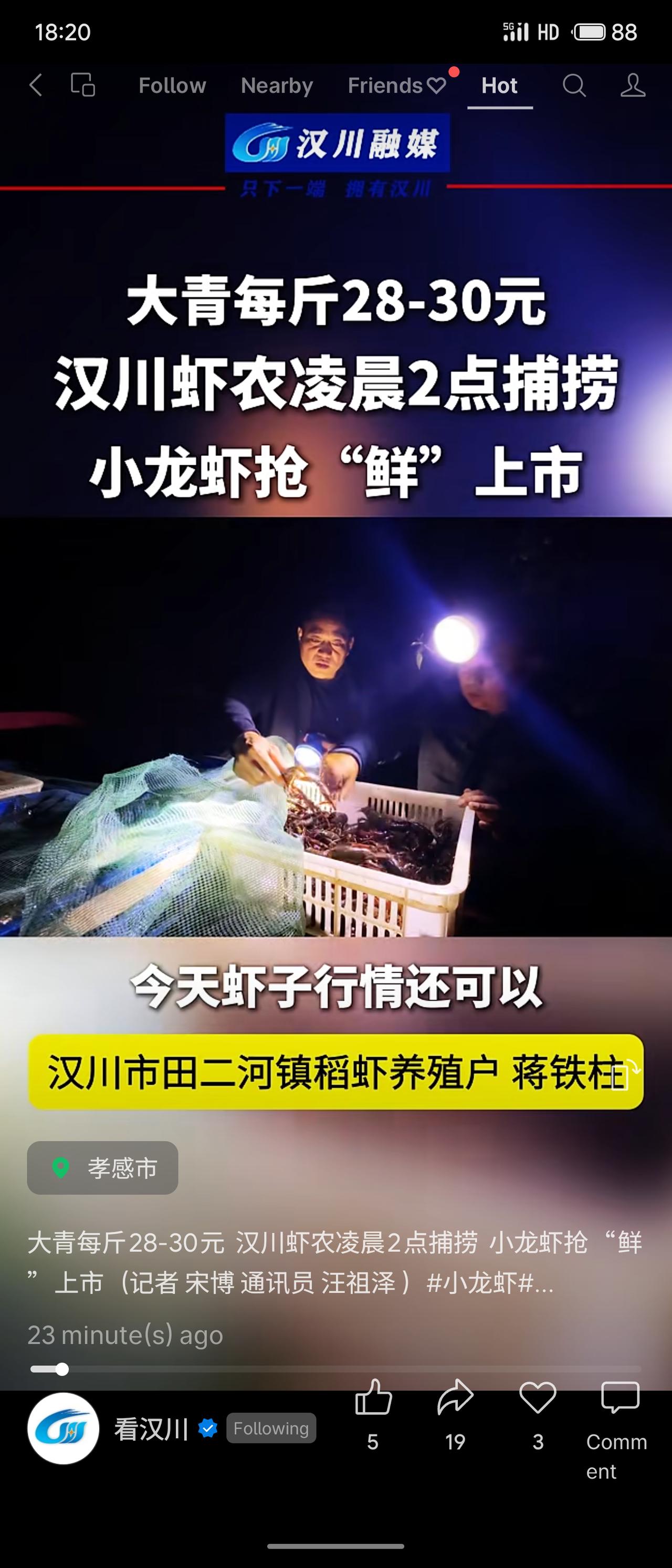 报道及时鲜活，既展现了虾农的辛劳，也传递了市场价格信息，对消费者和养殖户均有参考