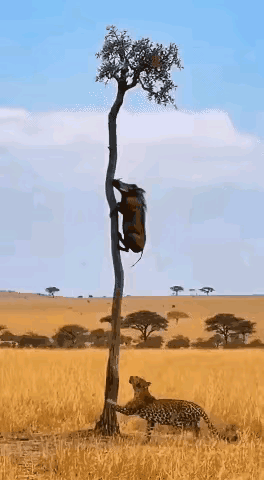 儿时傻事真是多笑话要讲几大箩苦难回忆心中爽好想再去看大哥现在若去当炮弹