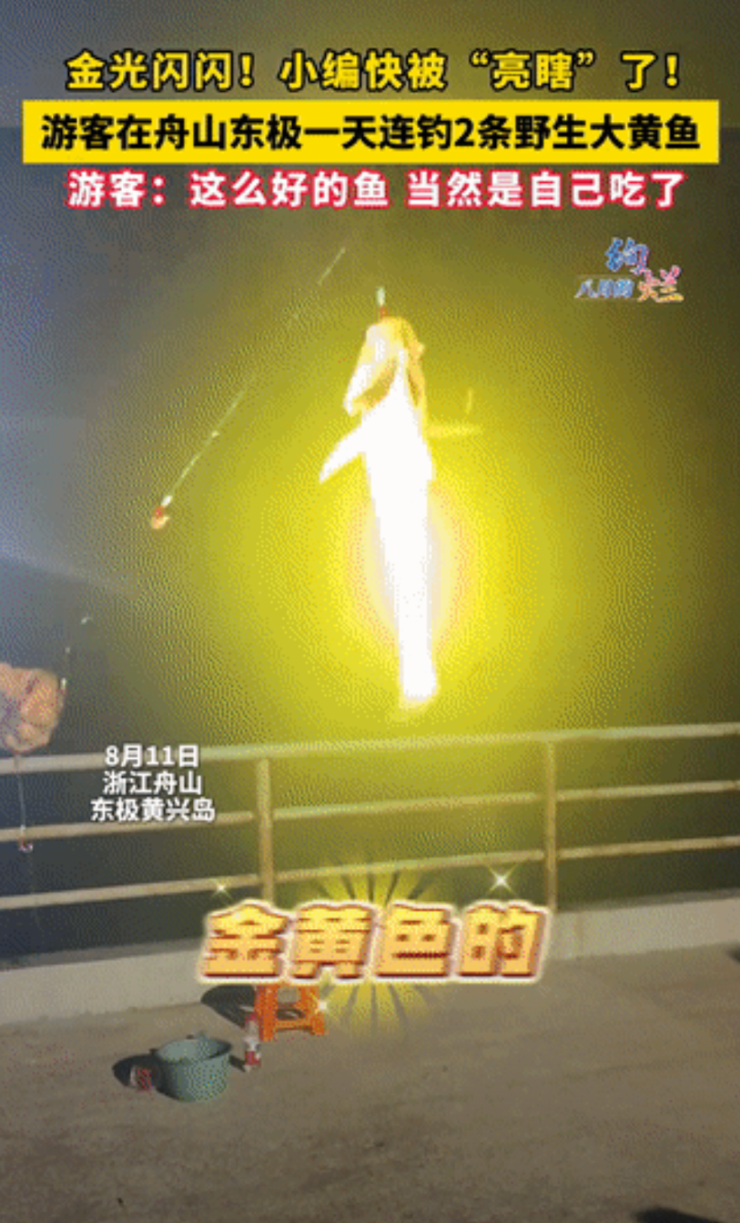 “运气太好了吧！”浙江舟山，一钓鱼姥去舟山东极旅游，心血来潮想钓鱼了，找到一野生