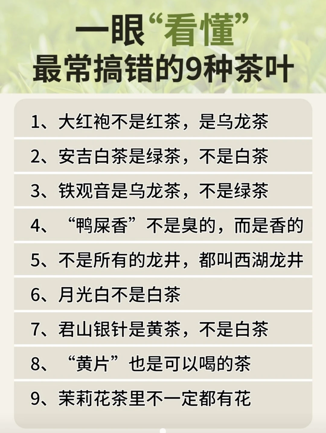 一眼“看懂”，最常搞错的9种茶叶