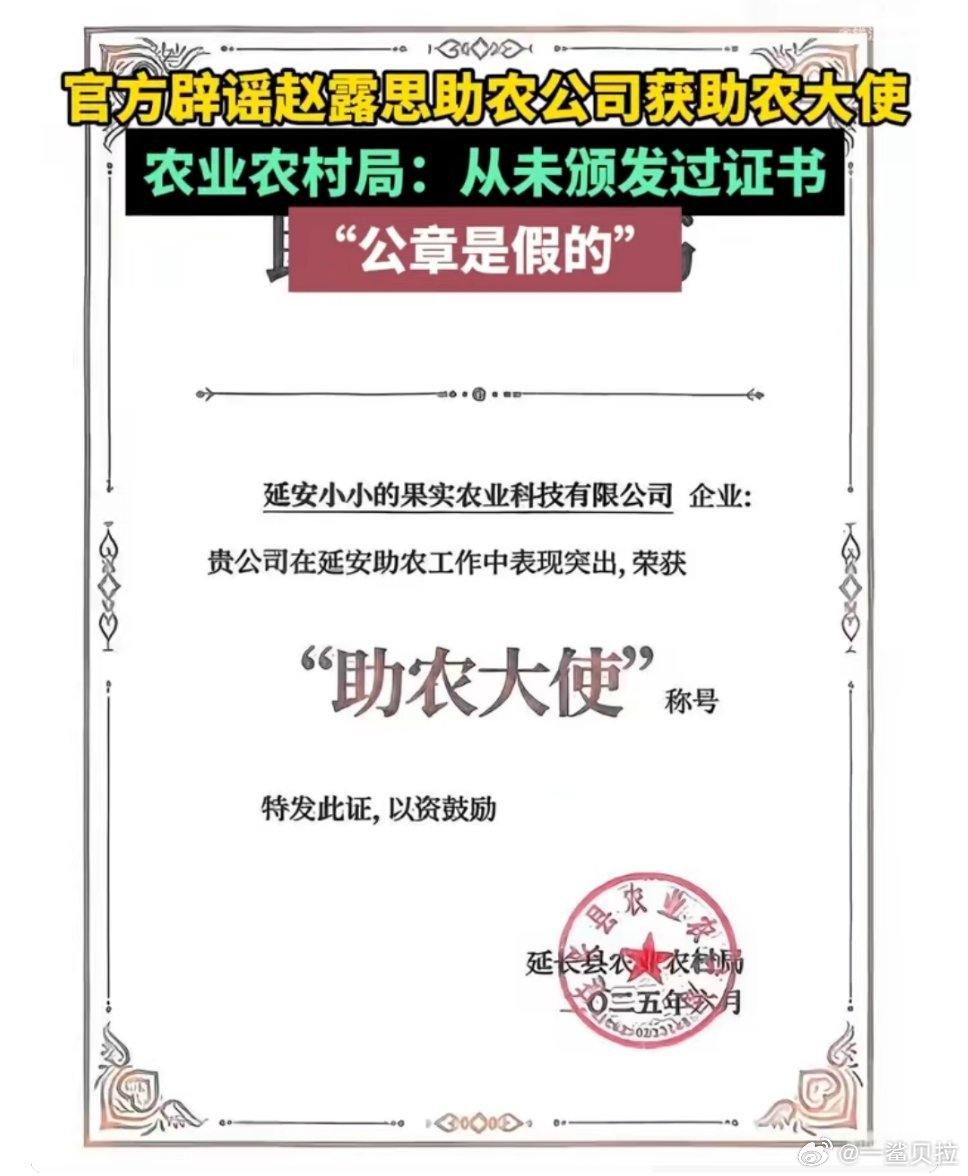 那这个公章哪来的？​​​