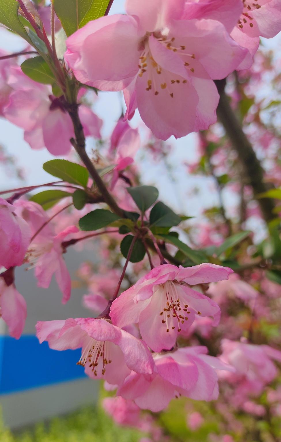 心理学家说："男人倒霉的第一步，就是频繁给一个女人发消息。男人倒霉的第二步，就是