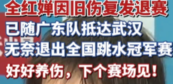 跳水界的热度似乎一夜之间降到了冰点！ 5月24日的全国跳水冠军赛名单出炉，