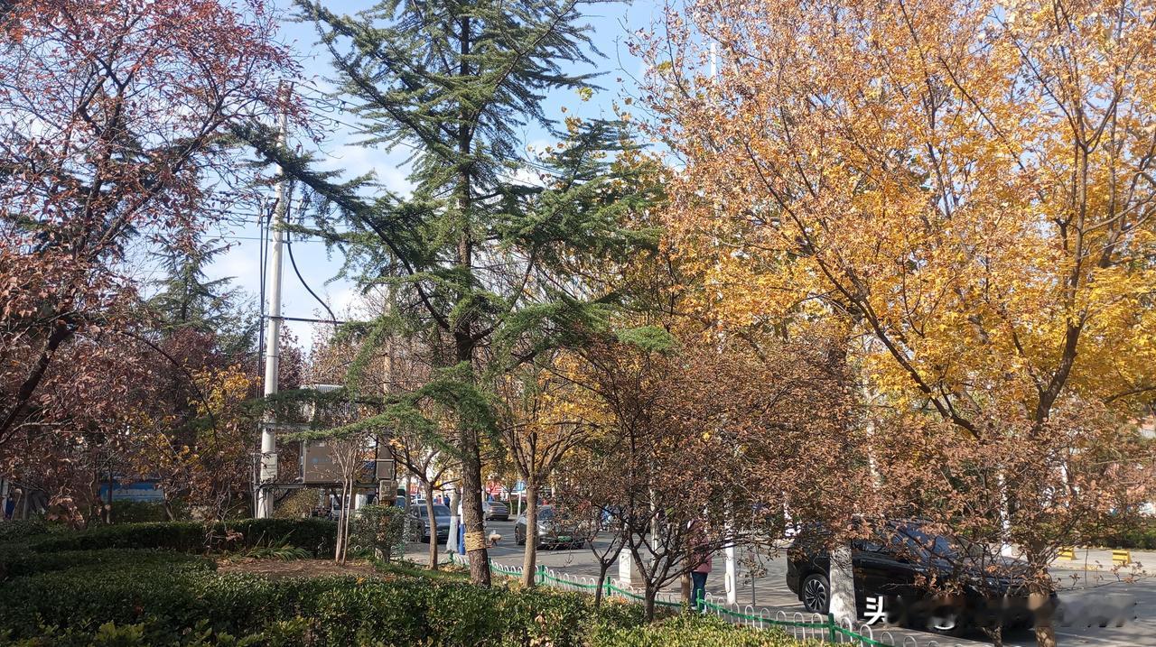 “你家孩子要是连这点苦都受不了，那以后还怎么在社会上立足呢？！”这段时间，孩