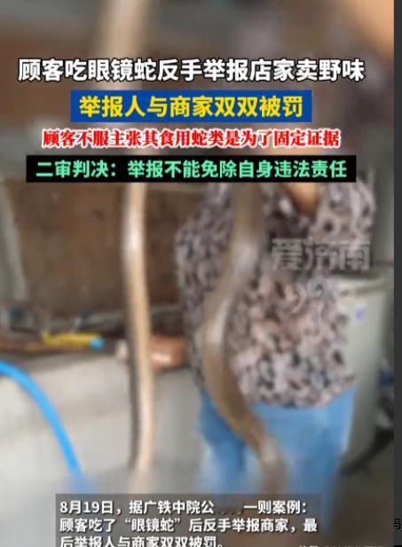 “还带这样玩的？”广东广州，男子吃完餐馆售卖的眼镜蛇肉后，立即进行了举报，导致商