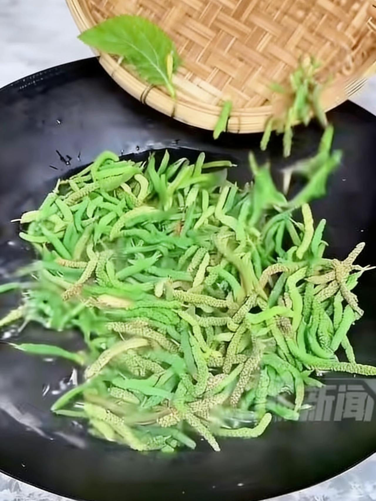 河南许昌，柴先生带儿子去小区门口的家常菜馆吃饭，点了一道当地春季常见的野菜——蒸