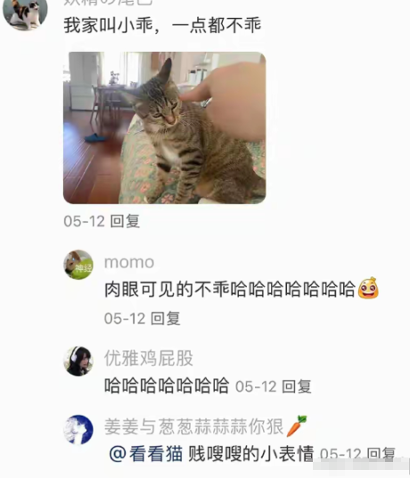贱嗖嗖的小表情
