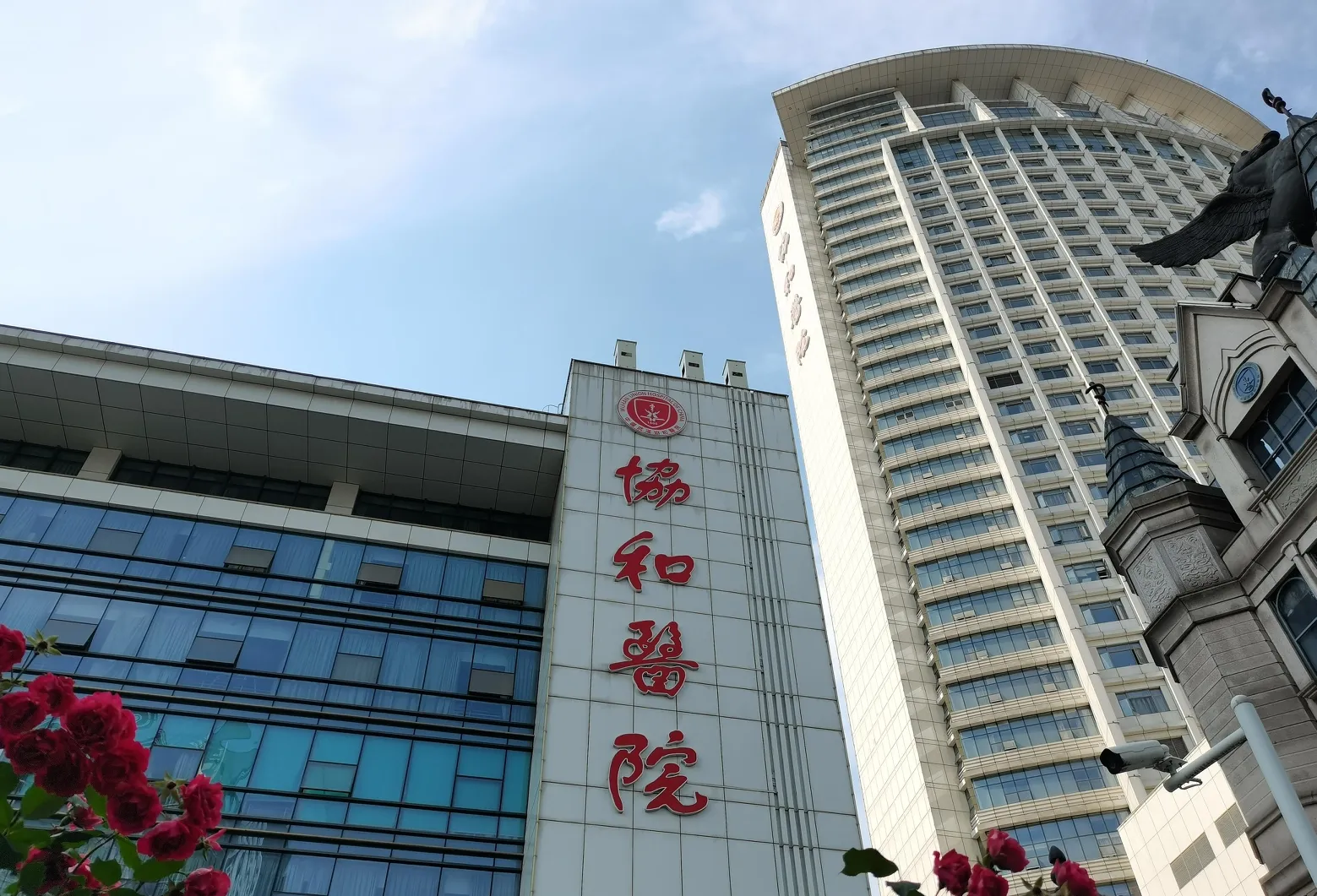 肖飞这件事已经发酵几天了现在大众媒体开始把矛头指向协和医学院了今天有一个刘姓