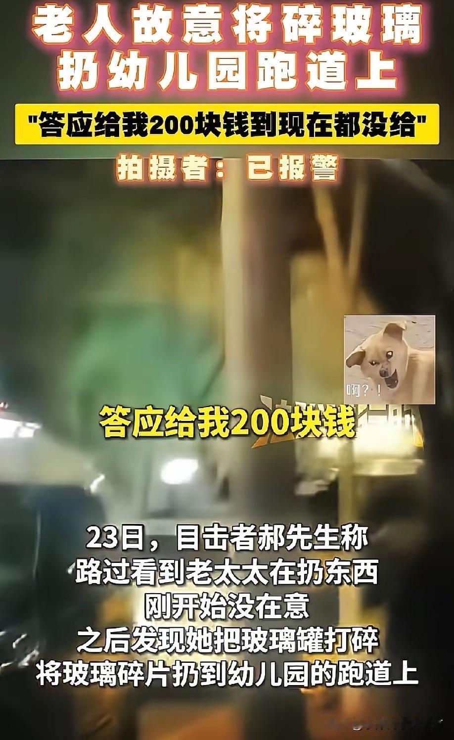 太坏了！近日，黑龙江哈尔滨一位老人为了区区200块钱，竟然故意把砸碎的玻璃碴，扔