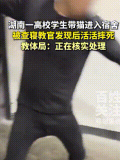 湖南湘西为民职业技术学校，因为一只幼猫，这下出名了！学生将它带进宿舍，被查寝人员