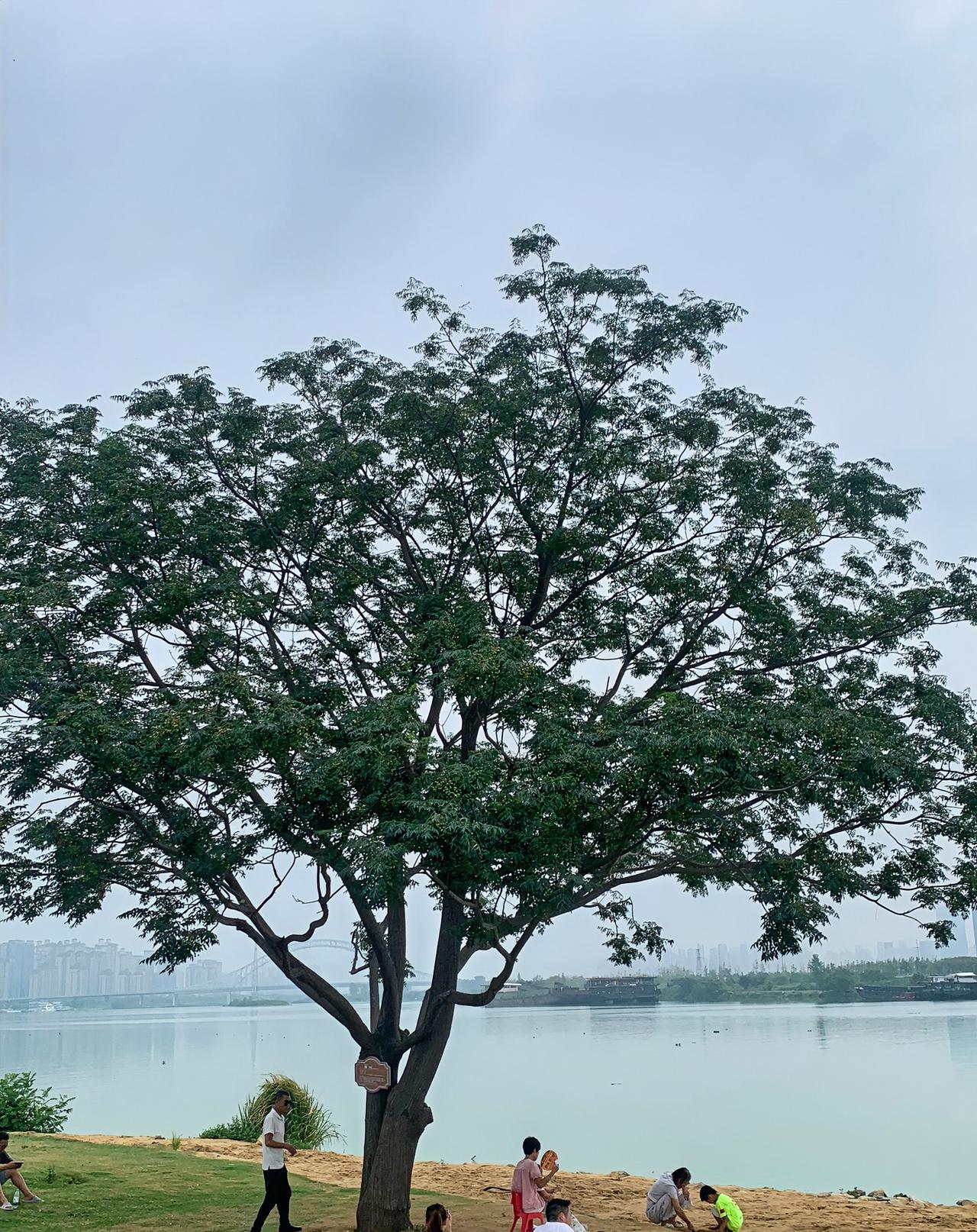 我发现一件很现实的事。很多人存钱太死板，明明有更方便、利息更高的选择，偏偏只