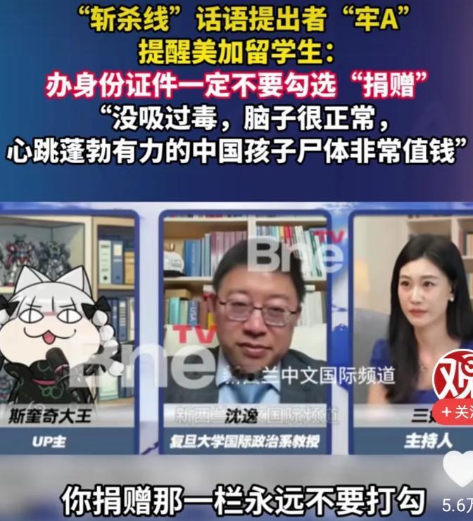 知道为什么中国禁止美国再收养中国孤儿了吧，美国人不养自己国家的流浪孩子，但万里迢