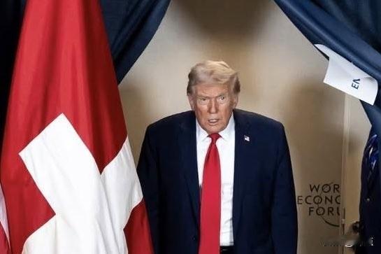 🔻纽约时报：那些强硬回击特朗普的国家获得了比欧洲更好的结果。比如中国，中国采取