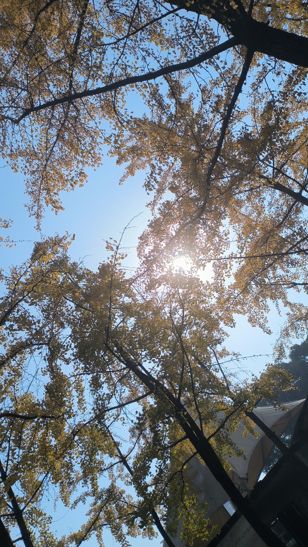 我发现现在农村有很多这样的人年轻的时候拼命在外面打工赚钱把小孩扔家里给老人