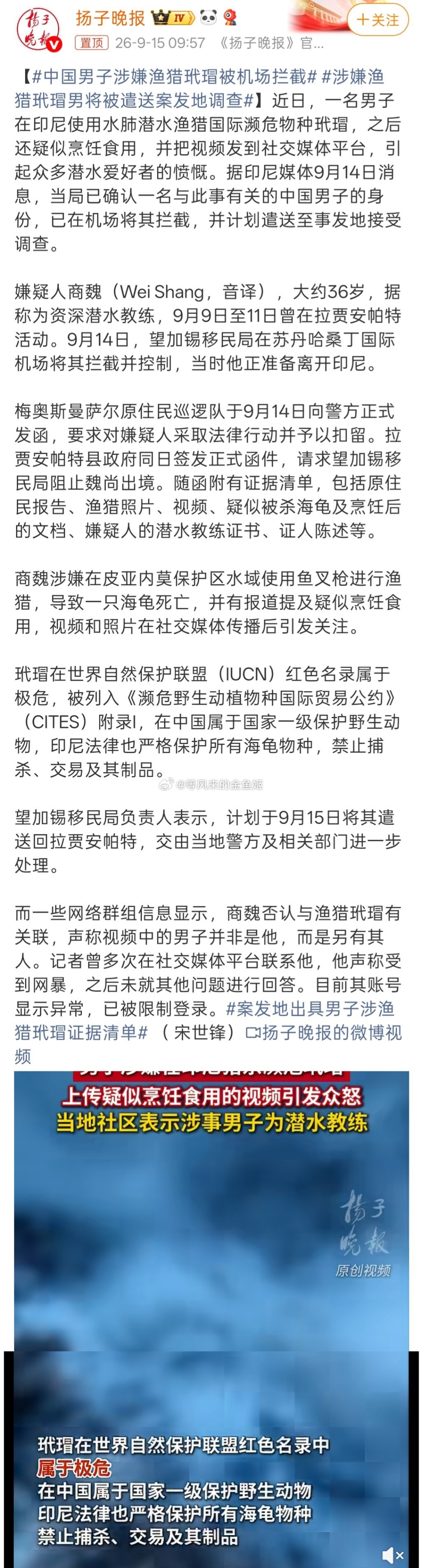 #涉事中国男子否认猎杀玳瑁#不知道怎么想的？玳瑁在国内也是一级重点保护野生动物。​