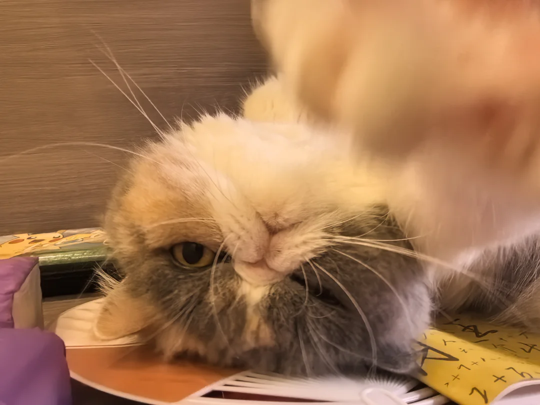 就是很凌乱