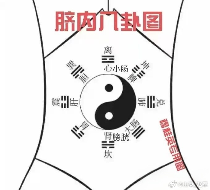 生白术白芍的通便效果如何？效果很稳，而且是不伤正的那种稳。在中医药生白术+白芍这