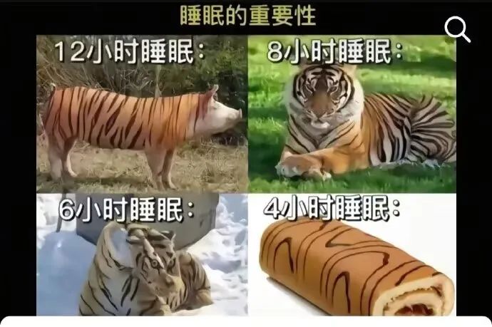 睡眠的重要性