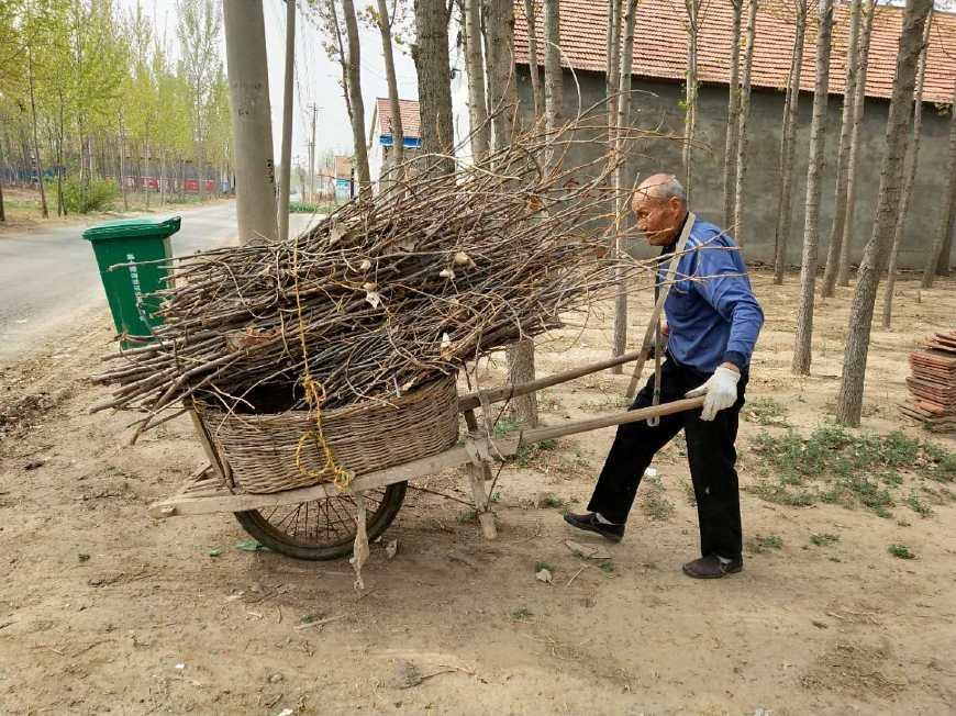 农村的老人干农活干到多大岁数呢?农村的老人干农活干到多大岁数呢?农村老人干农