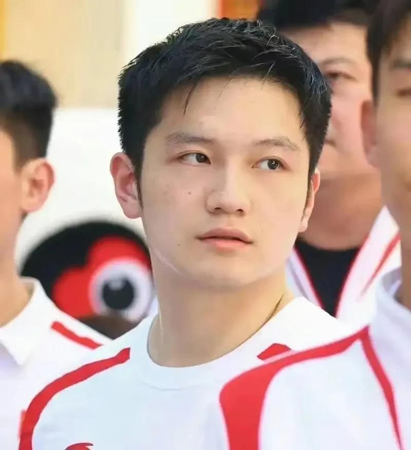 这么说吧，去年奥运回来，有编制的都受到各自单位的表彰了，给钱给车记功。肖战凭借