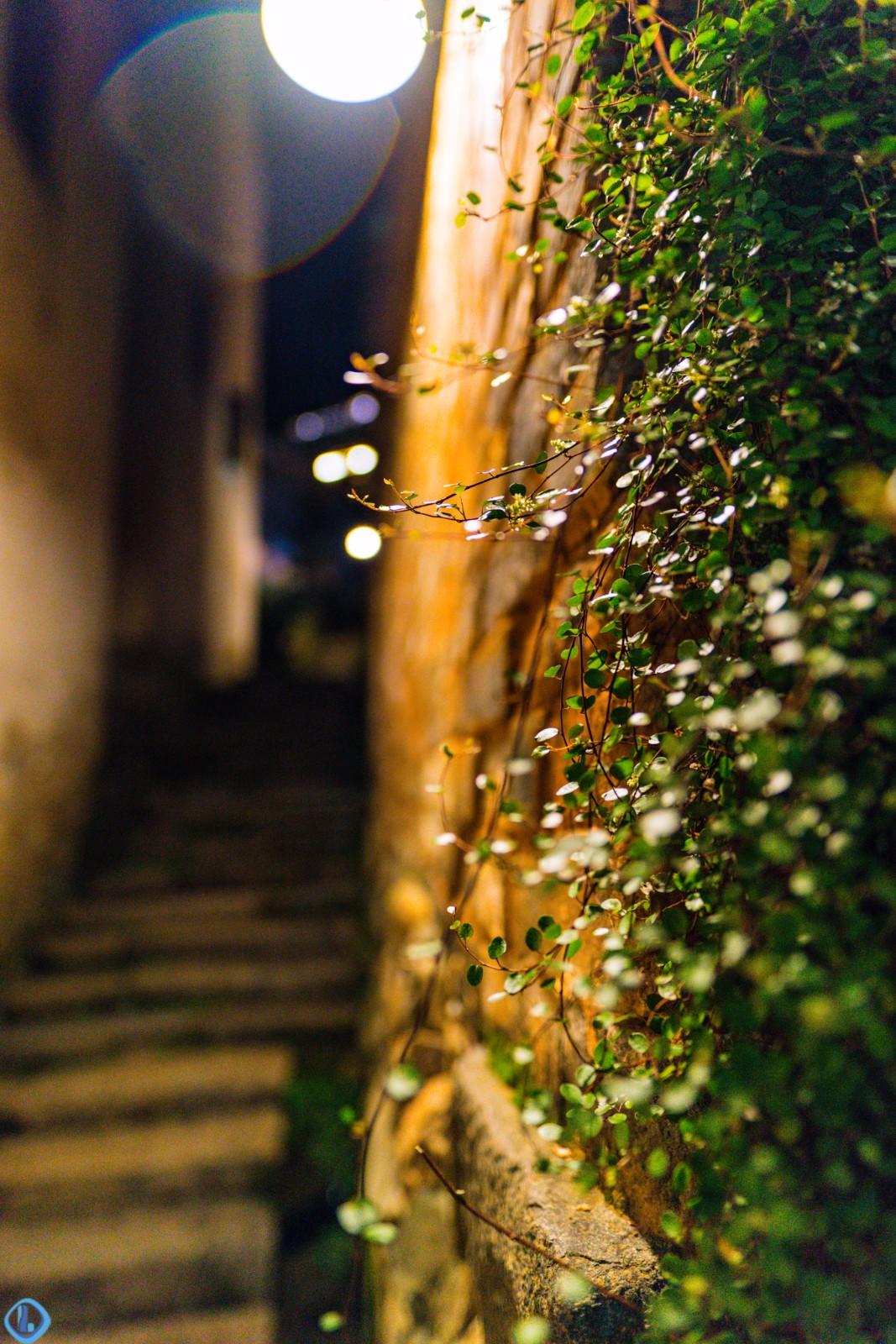 我的中医老师，九十岁无疾而终。临终前我去看他，他已不能言，只颤巍巍拉过我的手，在