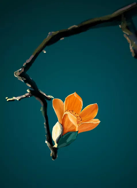 多闻草木，少识人。——王开岭