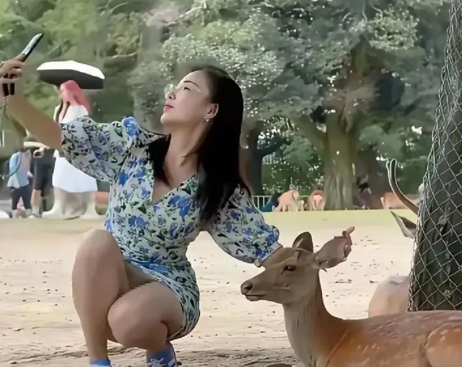 动物园特别臭，她怎么忍得住跟梅花鹿拍照