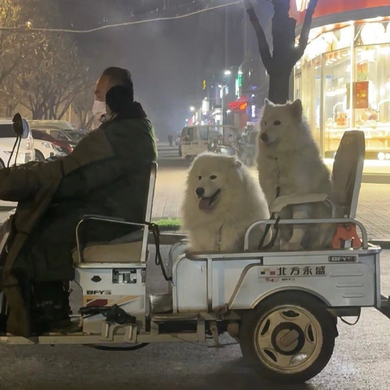 萨摩耶：今天考了60分！萨摩唉：今天考了59分。​​​