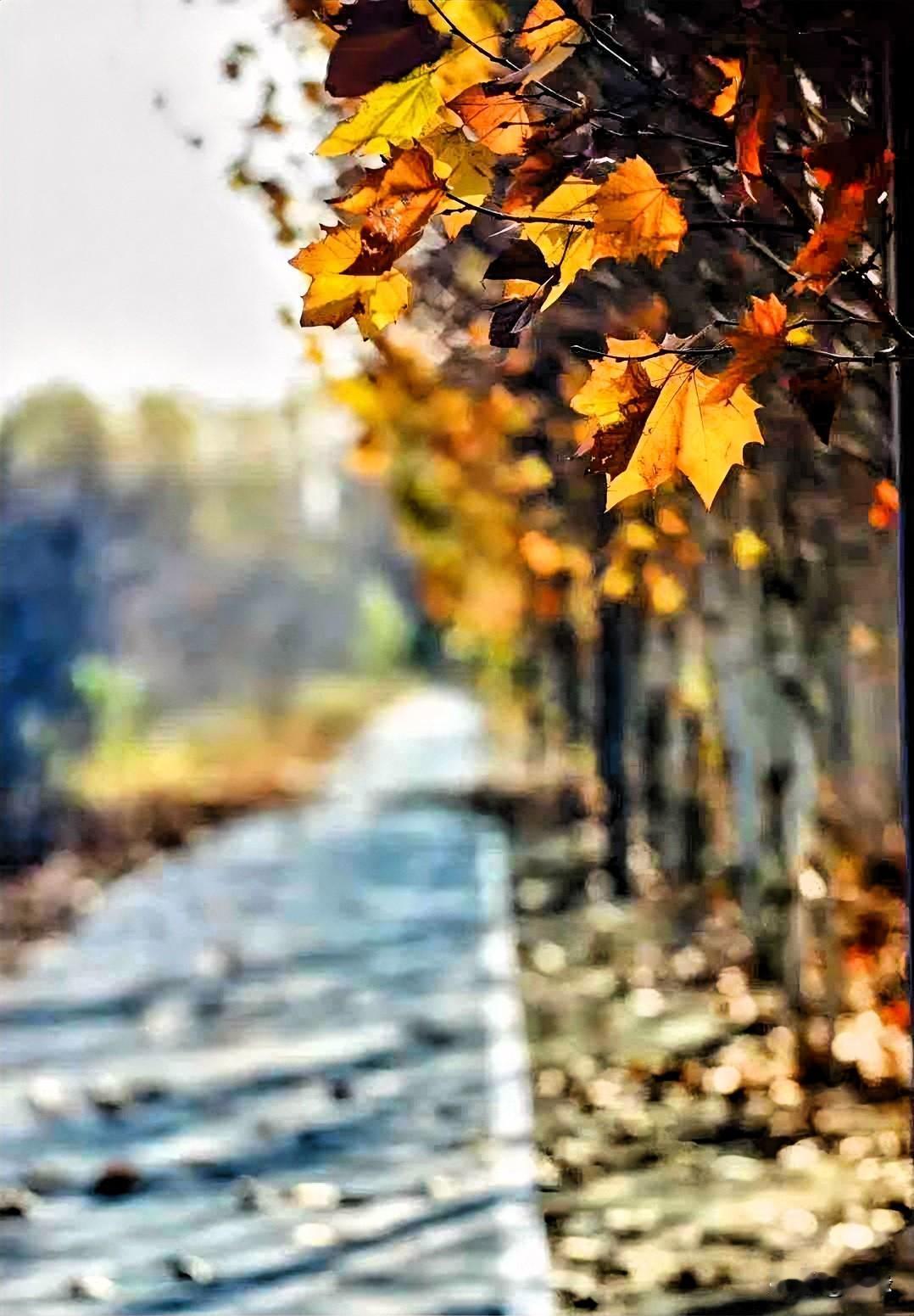 时间以同样的方式流经每个人而每个人却以不同的方式度过时间有人说冬天是一个令