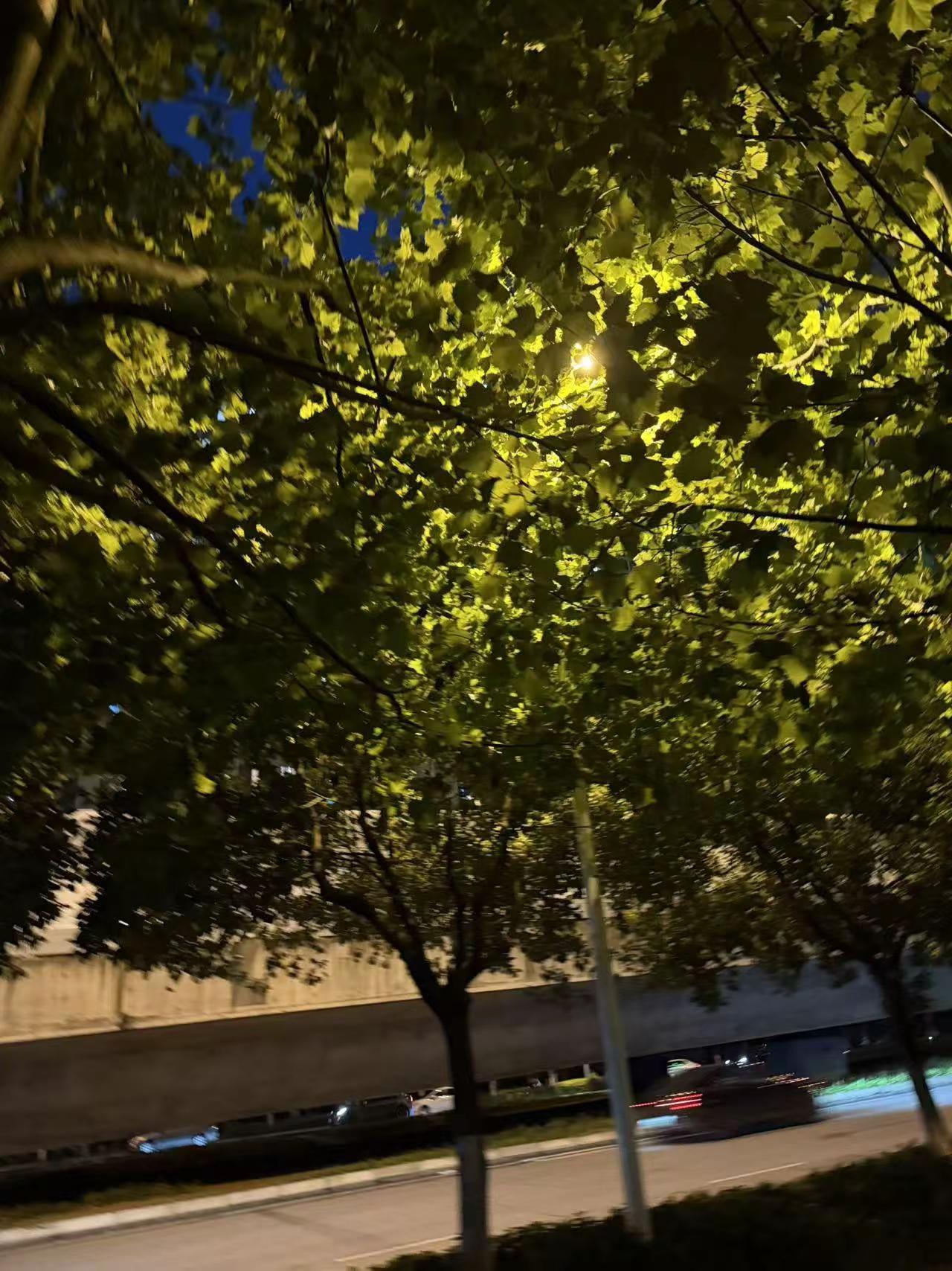 夏天的天空格外明亮又格外惬意。把盛夏交给火把节城市孤独感灯火通明的城市