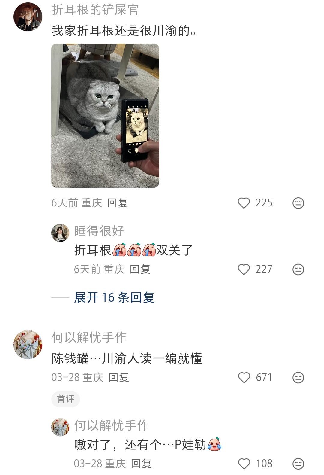 什么猫名字一听就知道是川渝人养的猫